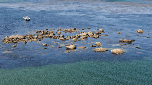 High angle view of rocks on beach