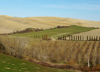 Scenic view of farm against sky