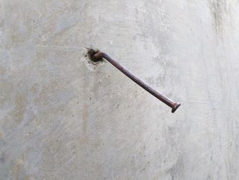 Close-up of damaged wall