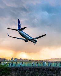 Low angle view of airplane flying in sky