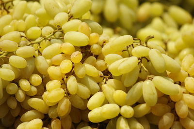 Full frame shot of fruits