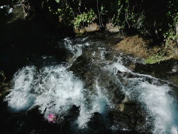 Scenic view of waterfall in forest