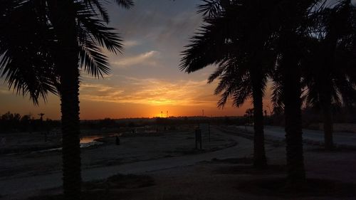 Silhouette palm trees on beach against sky at sunset