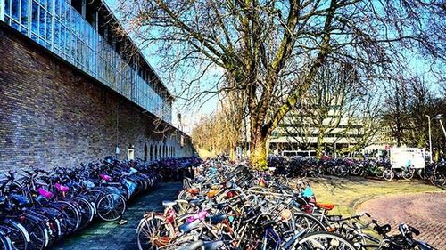Built structure with trees in background