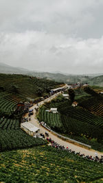 High angle view of agricultural field against sky