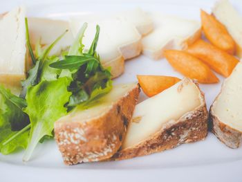 Close-up of food in plate