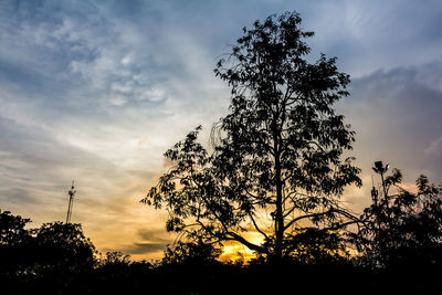 Low angle view of silhouette tree against sky during sunset