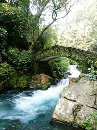 River flowing through rocks