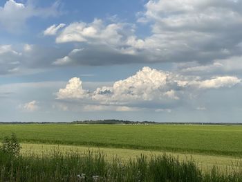 Scenic view of agricultural field against sky