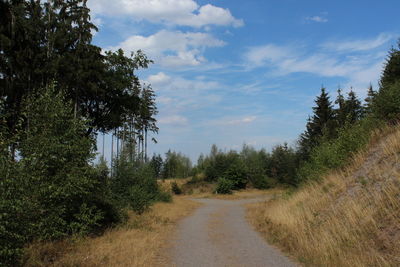 Dirt road amidst trees against sky