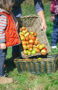 Midsection of man holding fruits in basket on field