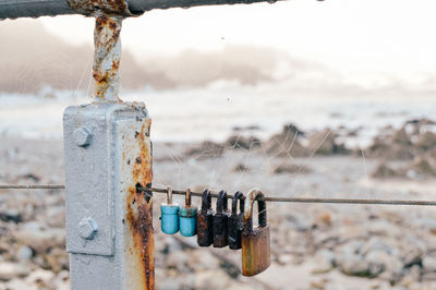 Close-up of padlocks hanging on metal fence