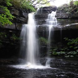 View of waterfall in forest