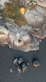 High angle view of rocks on rock