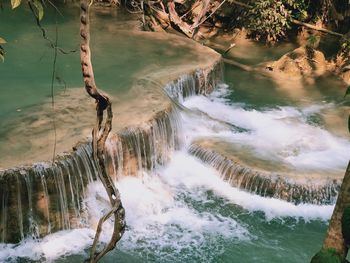 Scenic view of waterfall in forest