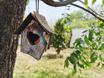 Close-up of birdhouse on tree trunk