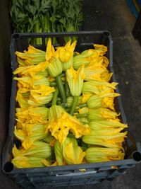 Full frame shot of vegetables