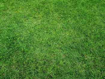 Full frame shot of soccer field