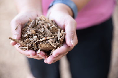 Midsection of woman holding wood chips