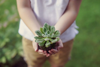 Midsection of child holding plant on field