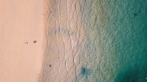 Aerial view of sea shore