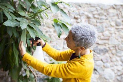 Woman cleaning leaf of avocado plant in garden