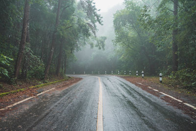 Empty road amidst trees in forest during rainy season