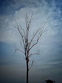 Low angle view of bare tree against sky