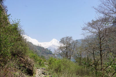 Scenic view of landscape against clear sky