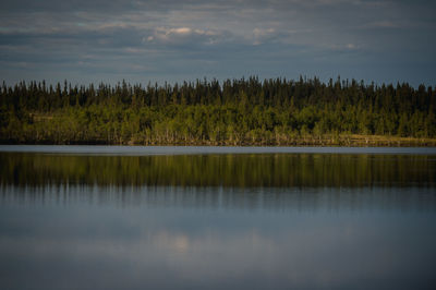 Reflection of trees in calm lake