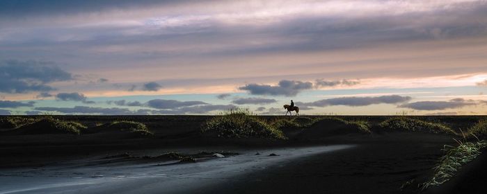 Silhouette person riding horse at beach against sky during sunset