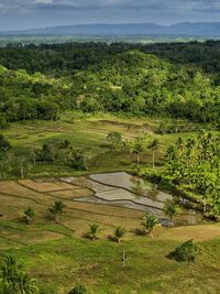 Scenic view of landscape