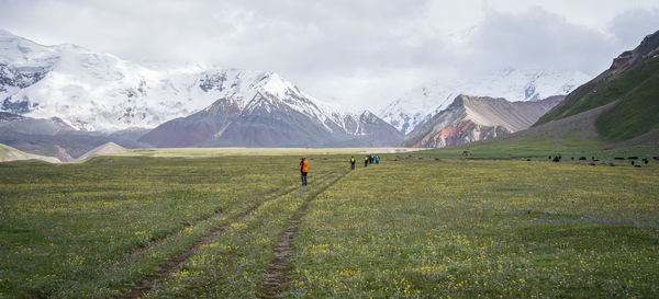 People walking on field