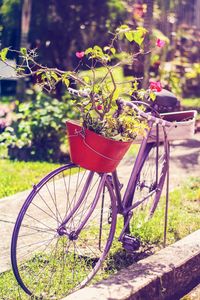 Close-up of bicycle against plants