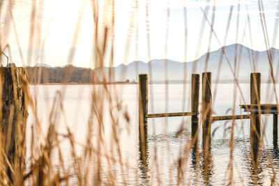 Wooden posts in lake against sky