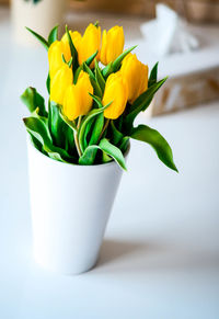 Close-up of yellow tulips in vase