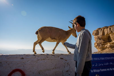Boy standing by deer against clear sky