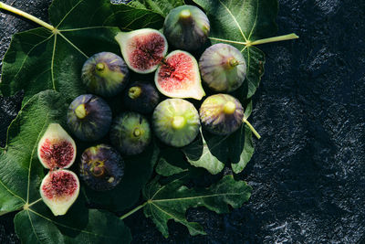 High angle view of fruits growing on plant