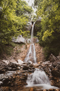 Waterfall in forest