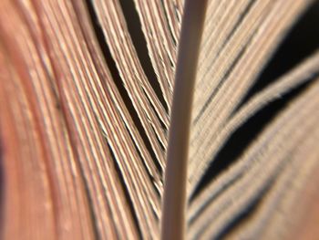 Detail shot of wooden surface