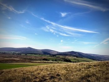 Scenic view of field against blue sky