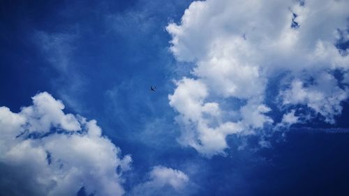 Low angle view of birds flying in sky