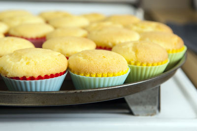 Freshly baked cupcakes cooling on a tray