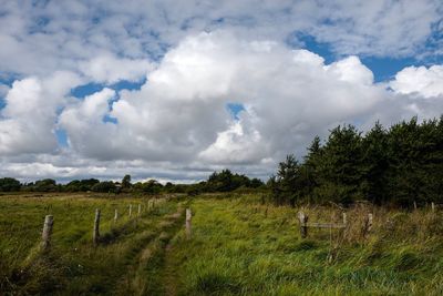 Scenic view of grassy field against cloudy sky