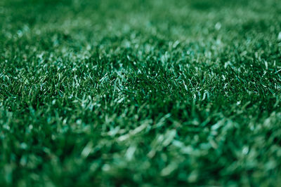 Full frame shot of grass