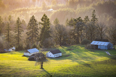 Scenic view of field against sky during sunset