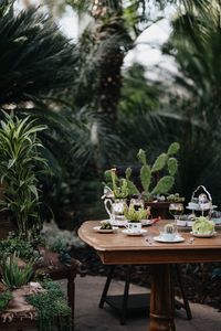 Plant table setting