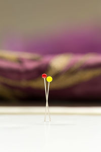 Close-up of flower against blurred background