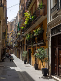 Empty, deserted alley downton valencia with plants on balconies - spain - 2022