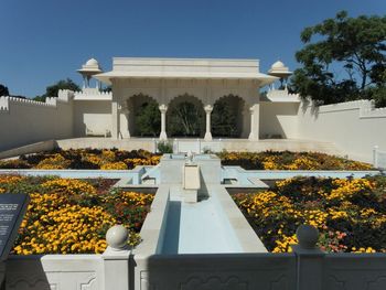 Flowers and plants against built structure against clear sky